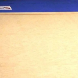 שטיח מקצועי מאושר FIG להתעמלות אומנותית 14 מטר אורך