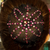 רשת שיער עם קריסטלים בצורת פרח